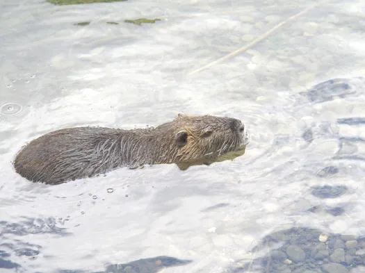 Mulhouse, Alsace (France)